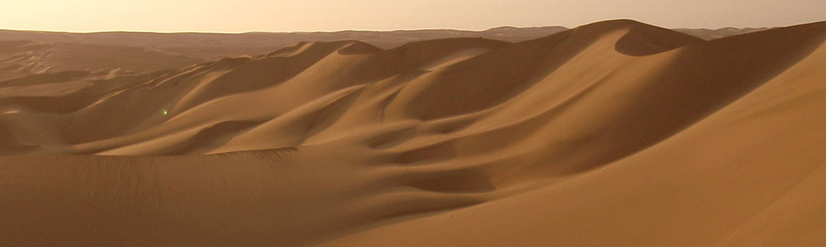 Dune Sand Supplier in Dubai